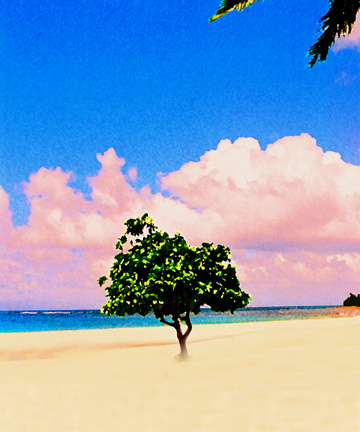 Beach Art Print