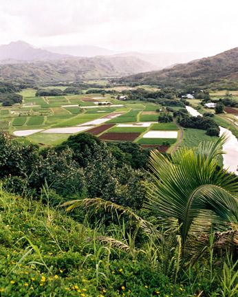 Hanalei Valley Kauai 2