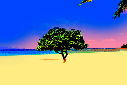 Beach Tree Art Poster