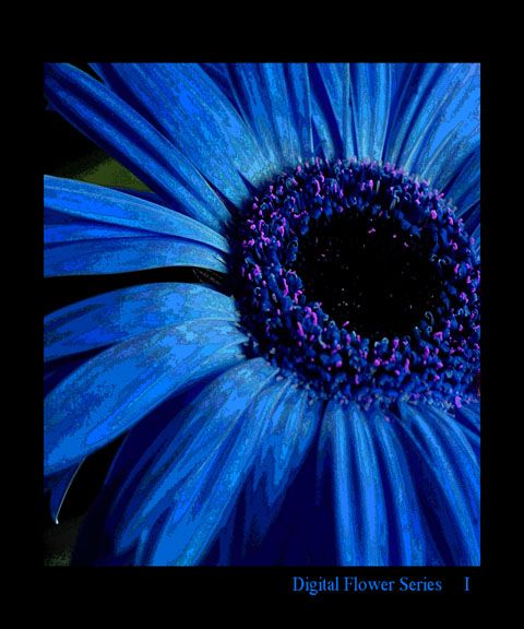 Digital Flower Series I