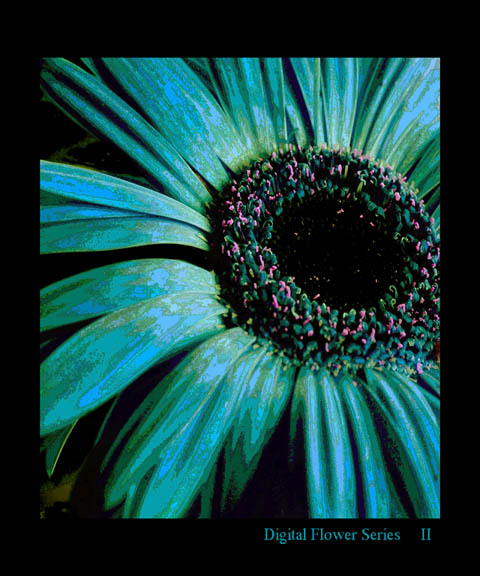 Digital Flower Series II