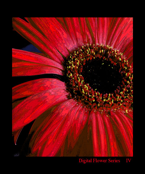 Digital Flower Series IV