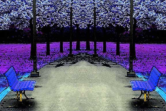 Parkbench II