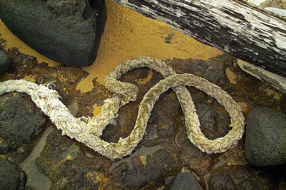 Abanded Rope Kauai Beach