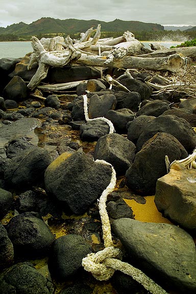 DriftWood Ropes Kauai