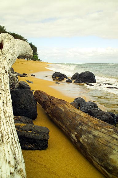 Beach Kauai V