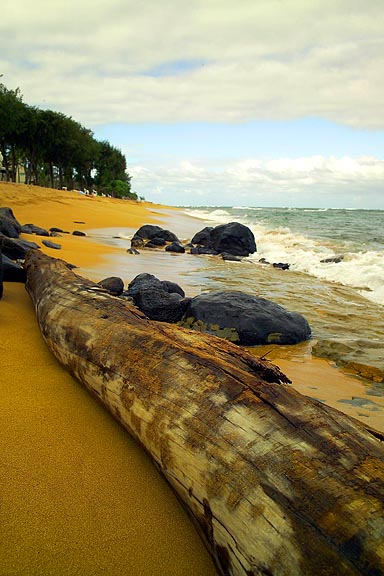 Kauai Beach X