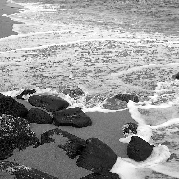 Sea Foam Black and White