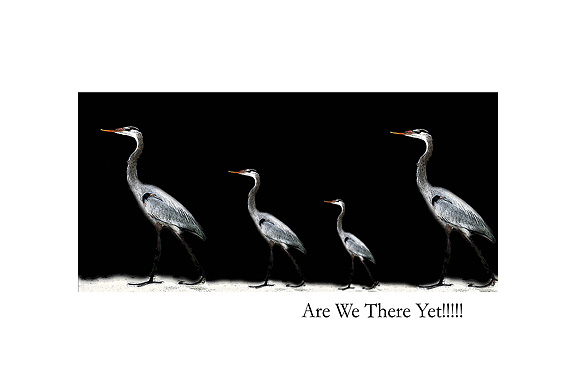 Are We There Yet