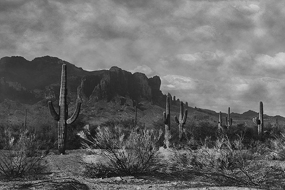 The Old West