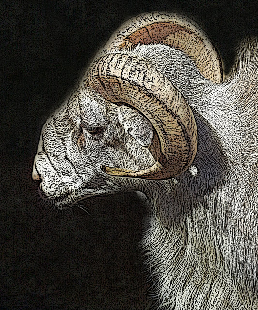 Digital Art Ram