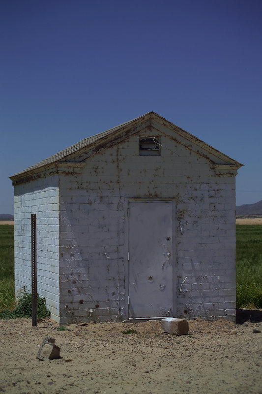 Forgotten Shed