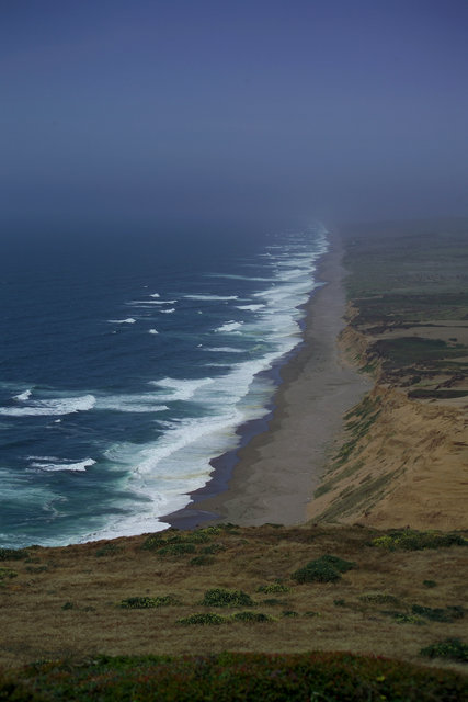 Point Reyes Beach 