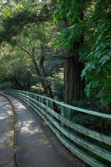 Bridge Lagunitas