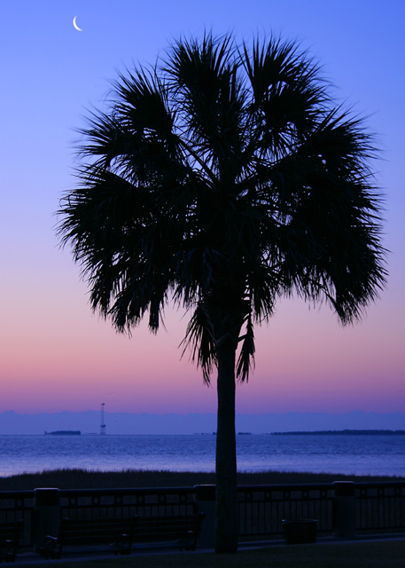 Palmetto State