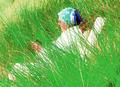 in-the-dunes.jpg