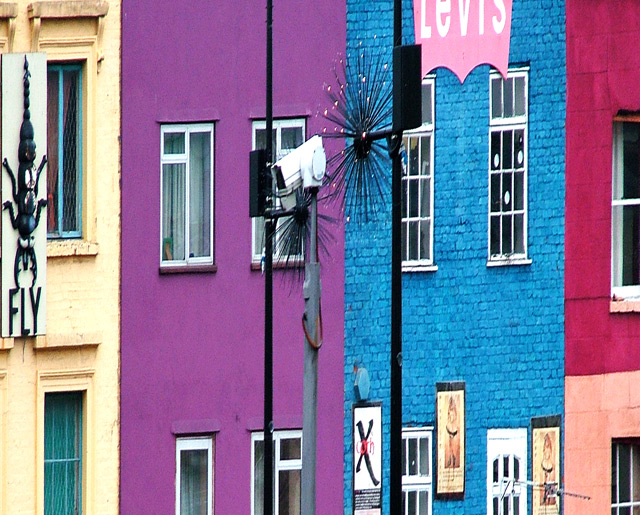 Colours-of-Camden.jpg