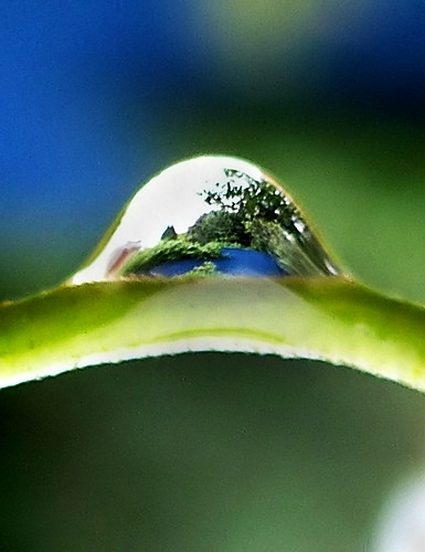 Dew-Drup.jpg