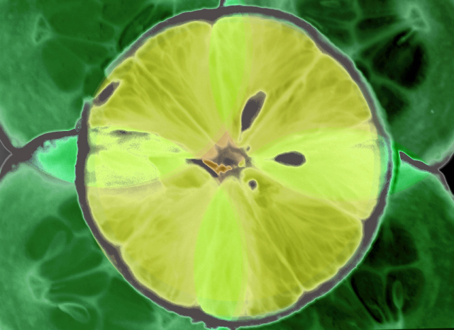 digital-rayogram.jpg