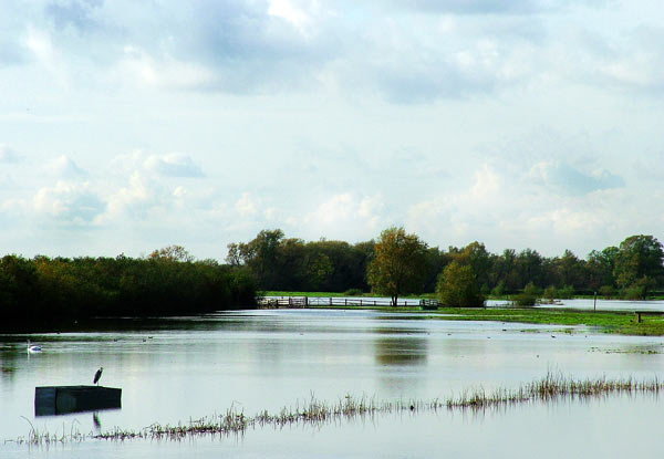 flood.jpg