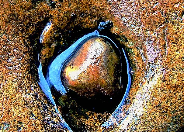 wet-stone.jpg