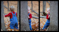 Stuart 2 - Triptych out take