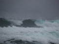 Waves 2
