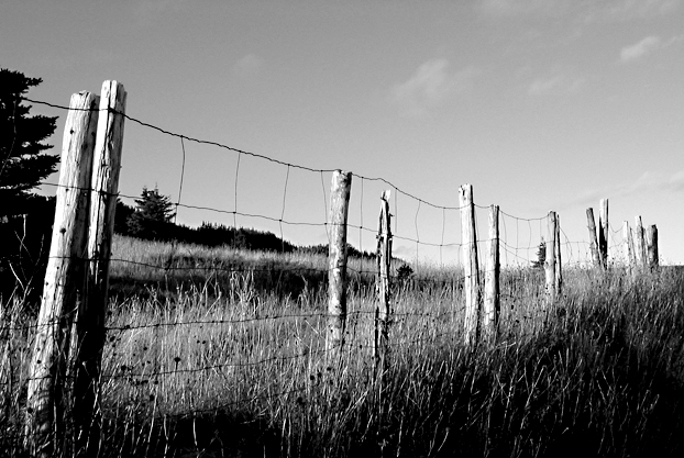 Fence