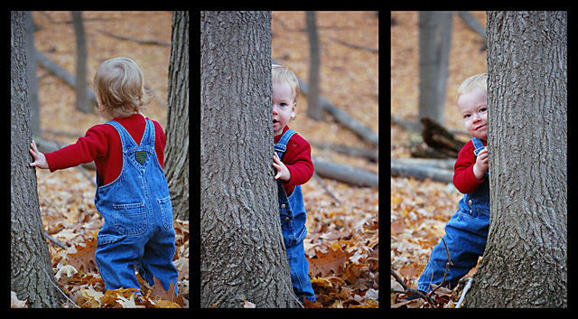 Stuart 2 - Triptych out take