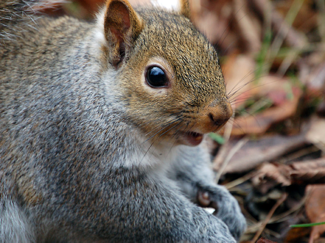 DSC_0817.jpg