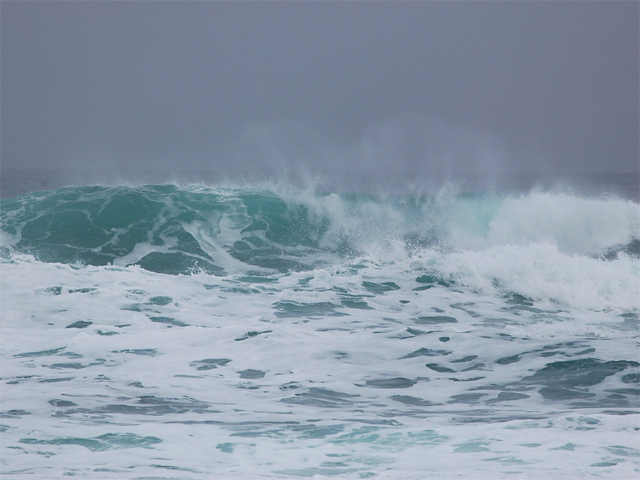 Waves 1