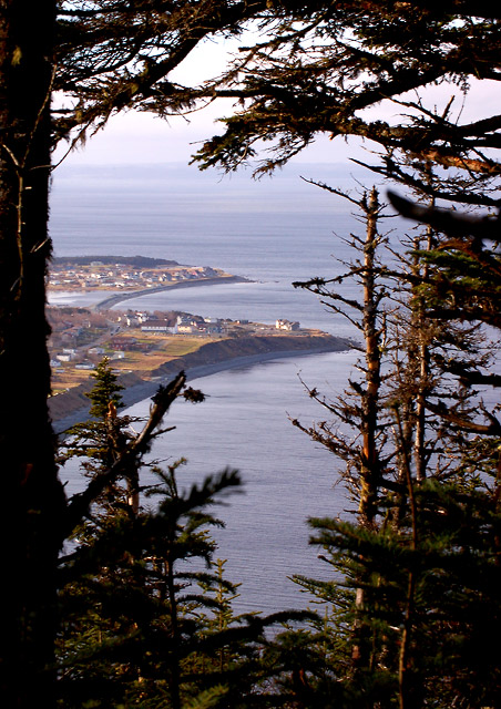 DSC_3487.jpg