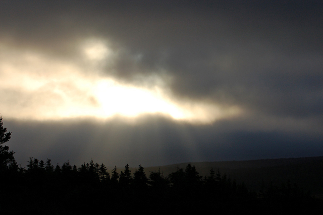 DSC_3815.jpg