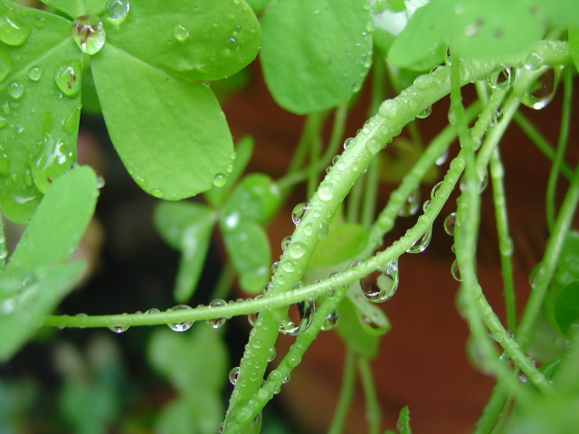 Raindrops Keep Fallin'
