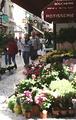 Fleur Marche