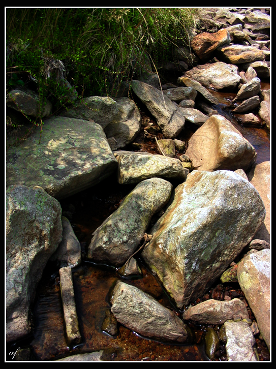 Stepping Stones