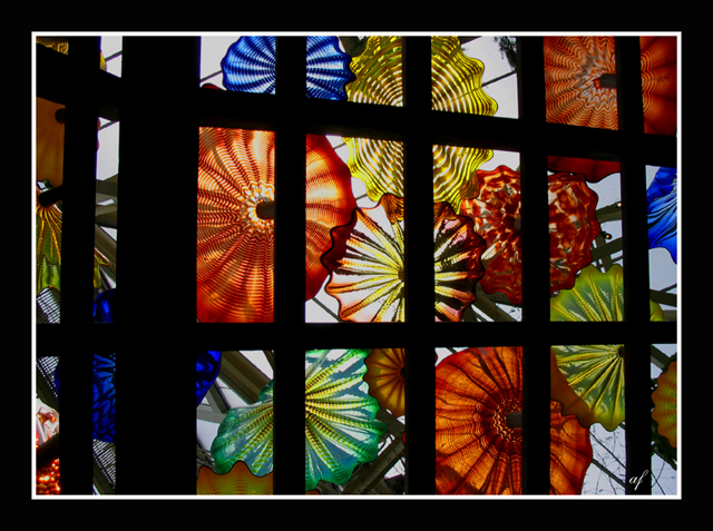 Chihuly glass