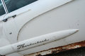 Thunderbird