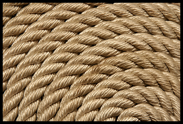 Dockline Art
