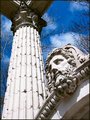column and head