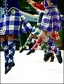 proud highland colours