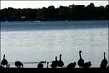 cottage country