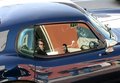 admiring the ride