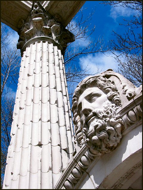 column and head