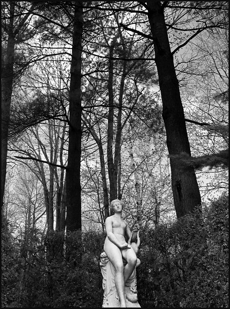 her domain