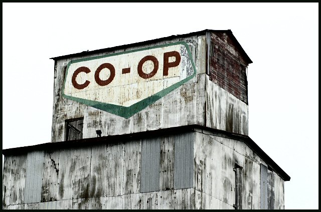 co-op