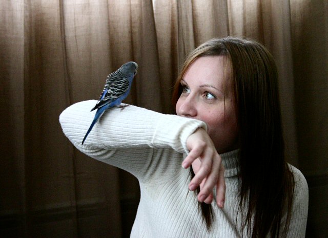 a girl and her bird