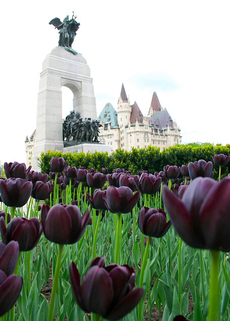 Ottawa