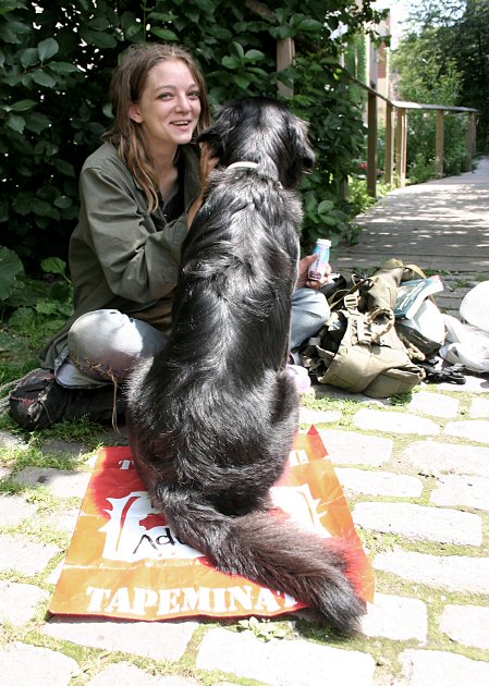 traveler and companion