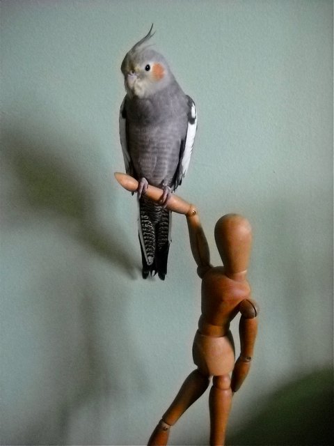 woody lends an arm